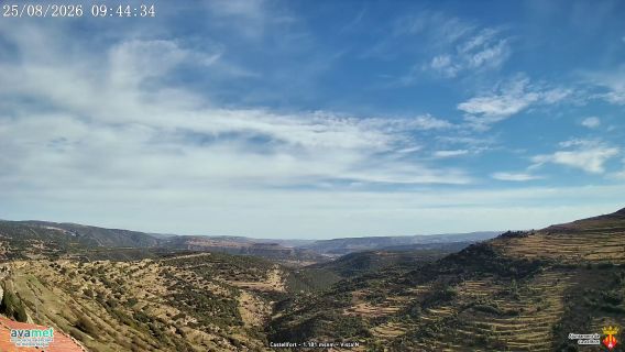 webcam 1