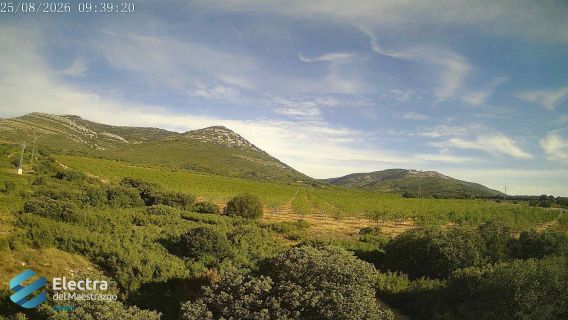 webcam 1