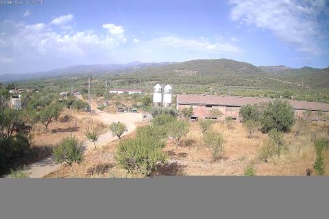webcam 1