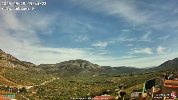 webcam 1