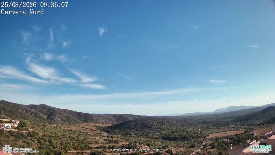 webcam 2