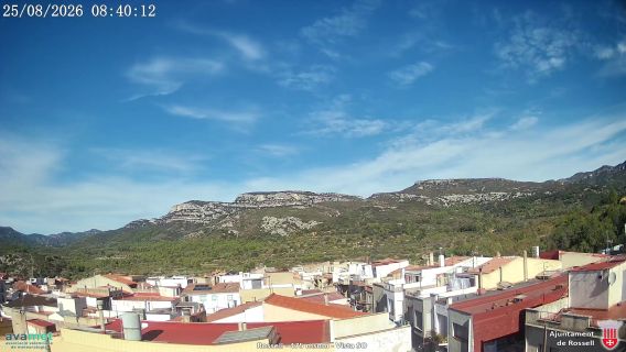 webcam 1
