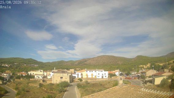 webcam 1