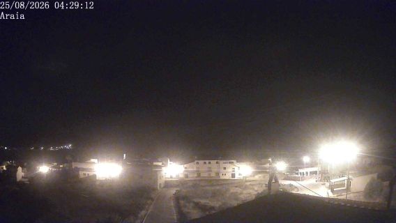 webcam 1
