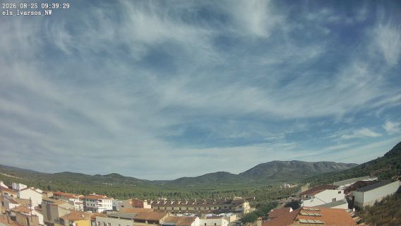 webcam 1