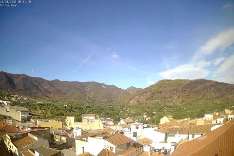 webcam 1