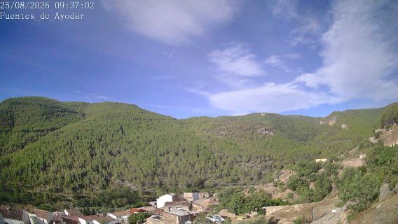 webcam 1