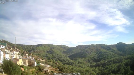 webcam 1