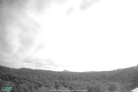 webcam 1