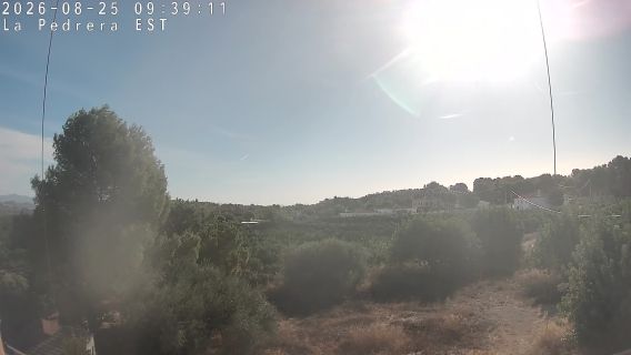 webcam 1