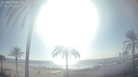 webcam 1