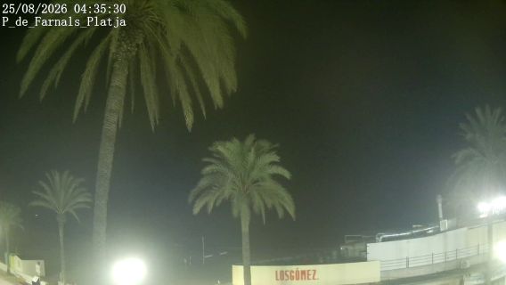 webcam 1