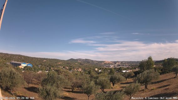 webcam 1