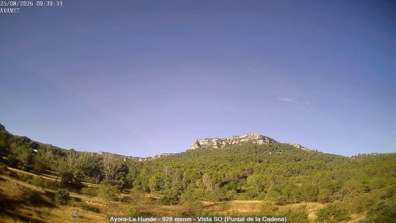 webcam 1