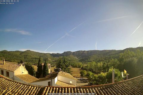 webcam 1