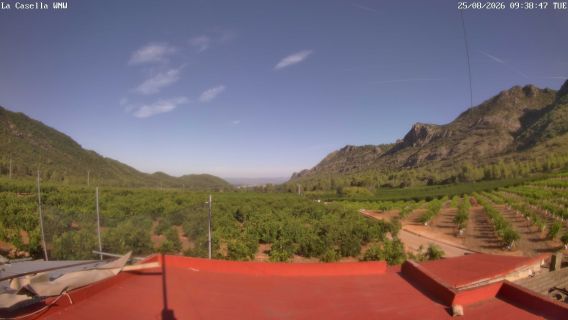webcam 1