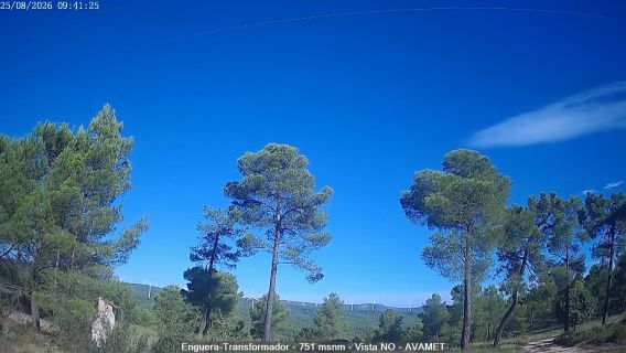 webcam 1