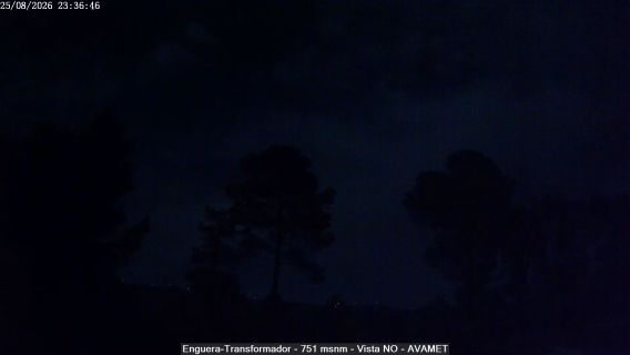 webcam 1