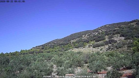 webcam 1