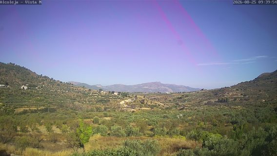 webcam 1
