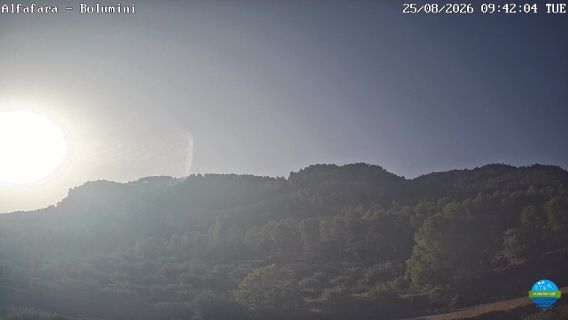 webcam 1