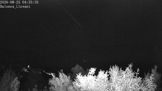 webcam 1