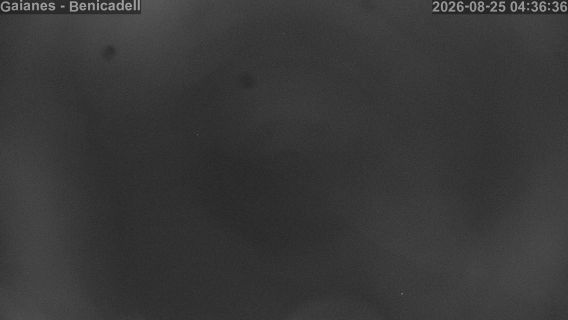 webcam 2