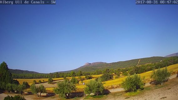 webcam 1