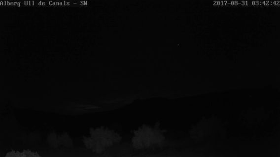 webcam 1