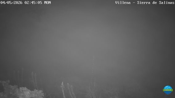 webcam 1