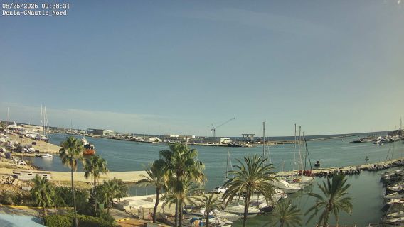 webcam 3