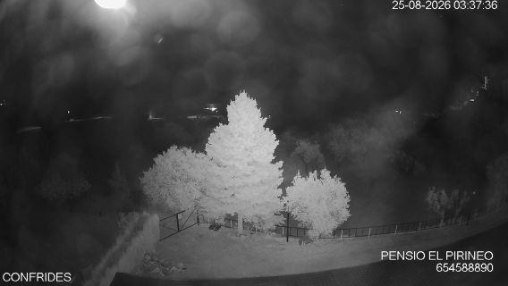 webcam 1