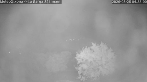 webcam 1