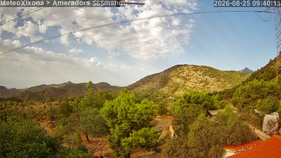 webcam 1