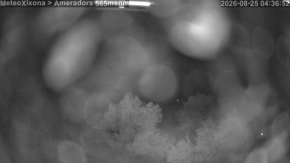 webcam 1