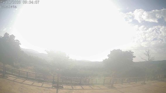 webcam 1