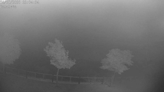 webcam 1
